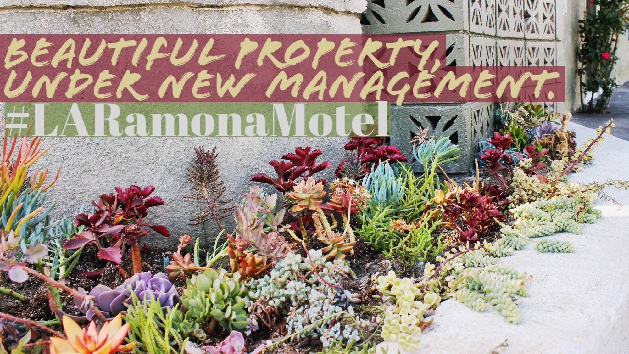 Ramona Motel Los Angeles Ngoại thất bức ảnh